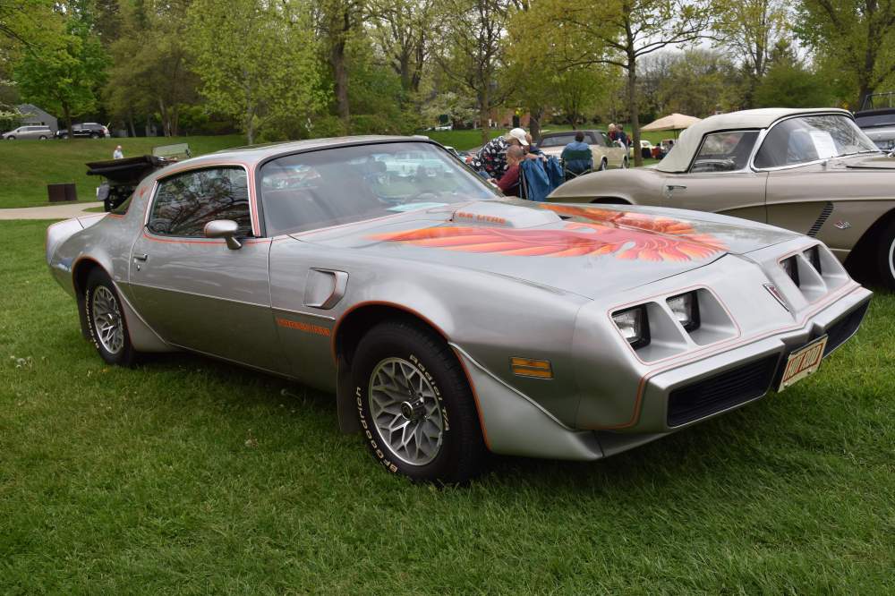 2019 Festival of Cars_1.jpg