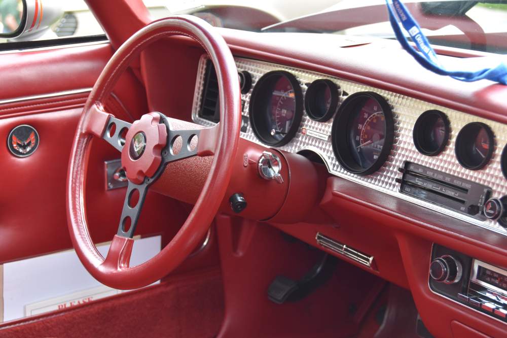 2019 Festival of Cars_4.jpg