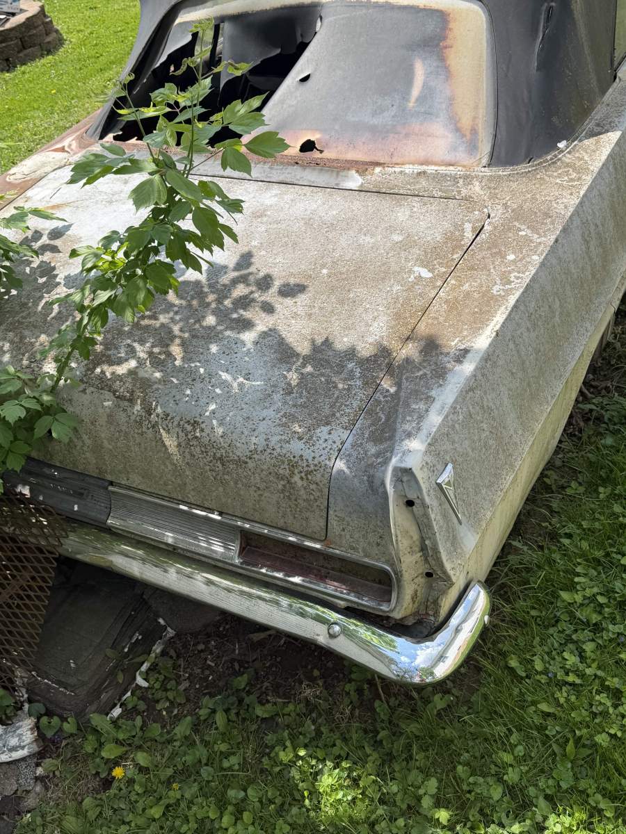 Gallery - Forever Pontiac Forums