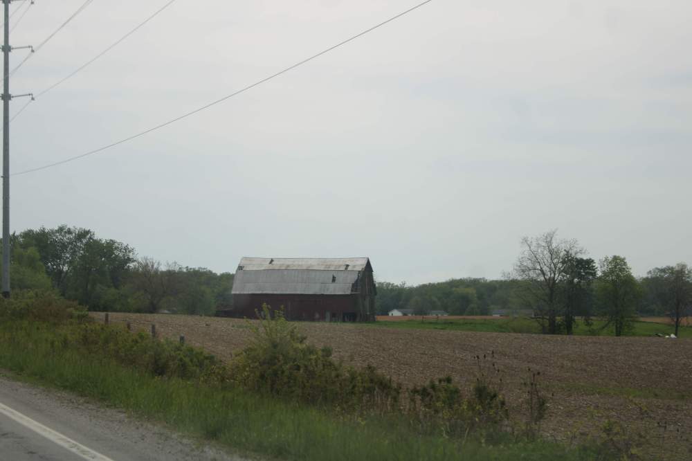IMG_2370.JPG