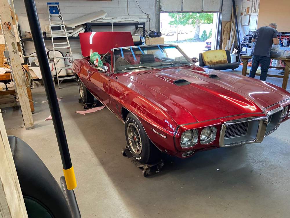 69 bird bumper 5.jpg