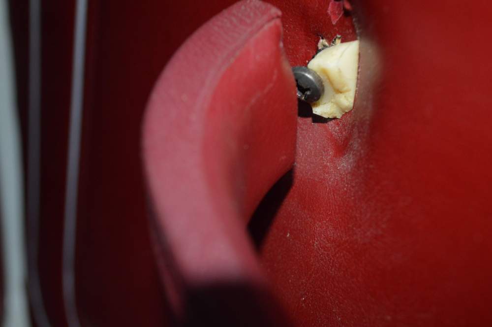 DSC_0323.JPG