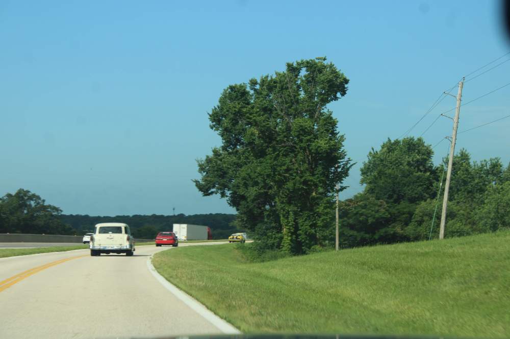 IMG_3538.JPG