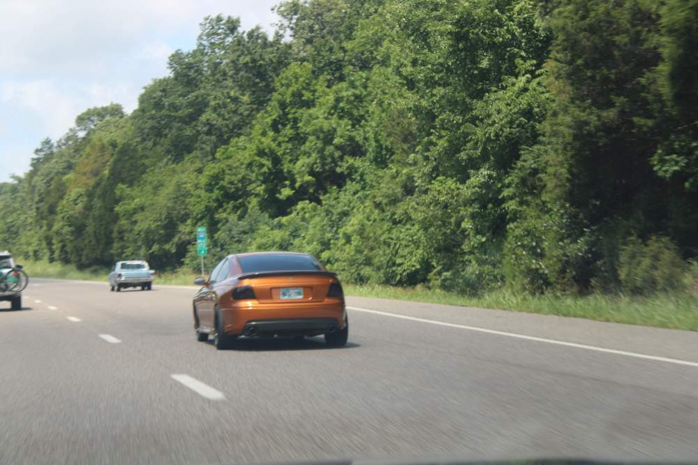 IMG_3623.JPG