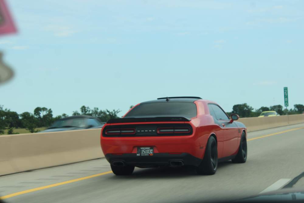 IMG_3823.JPG