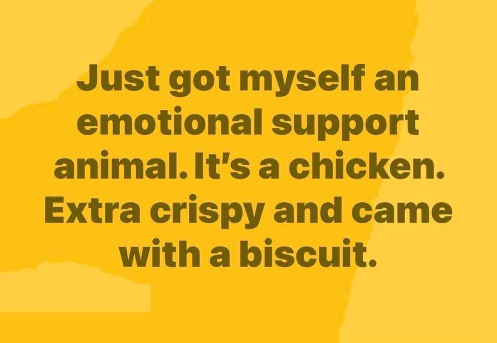 IMG_6829.jpeg