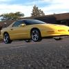 Yellowbird93